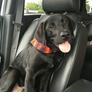 Meet your Posher, Shanon